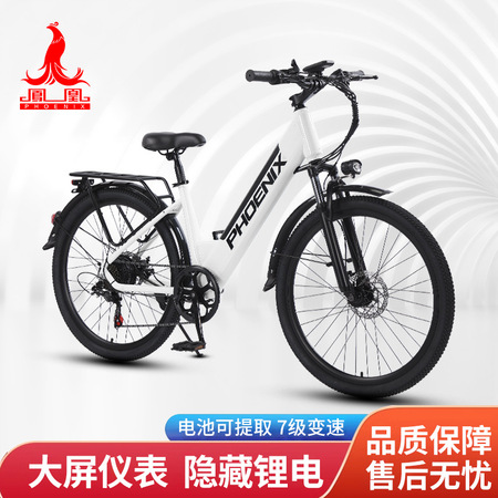 电动助力自行车长续航城市通勤车